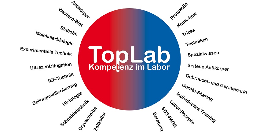 Tl Kugel-grafik 2023 Lang